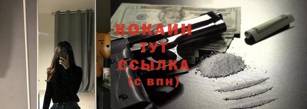 соль ск Новозыбков
