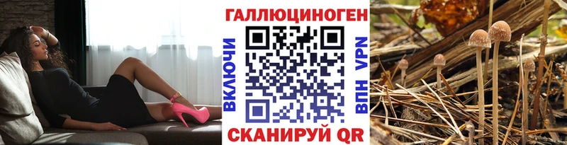 KRAKEN ссылка  Тайшет  Галлюциногенные грибы Cubensis 